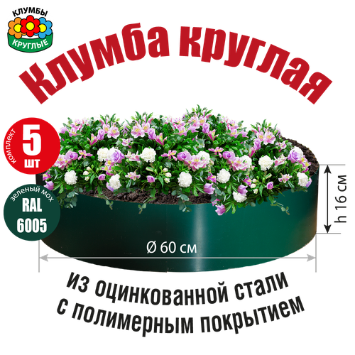 ���� ������ ������� ������� �� ������������ ����� � ���������� ���������, ������ �� 3650 ���