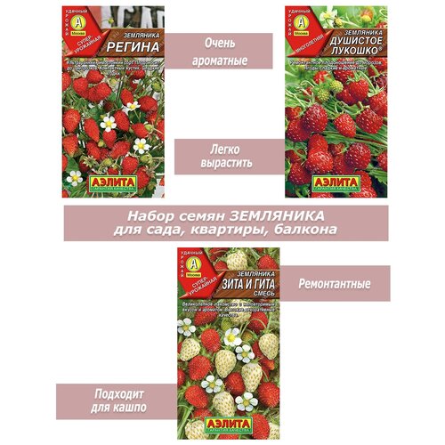 ���� ����� �����, ������ ��������� ��� �����, �����������, ��������, �������, ������ �� 389 ���