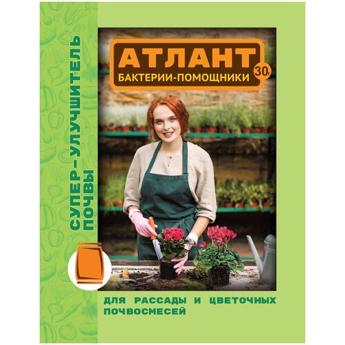 ���� ��������� ���� ��������� ������ ��������-��������� ����� ���������� �����, 30 �, ������ �� 97 ���