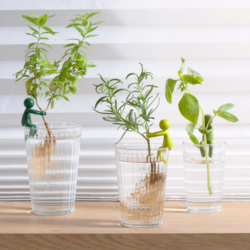 ���� ��������� ��� ������������ �������� Peleg Design Leafriend, 3 ��, ������ �� 2573 ���