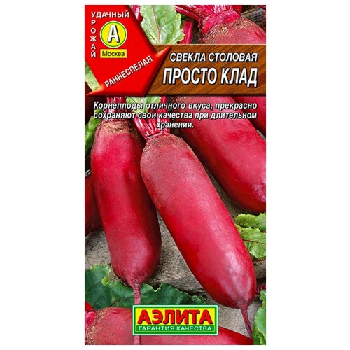 ���� ������. ������ �������� 