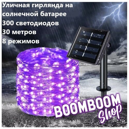 ���� ������������ �������� ���� ���������� �� ��������� ������� 300 ���� 30 ������ 8 �������, ������ �� 1000 ���