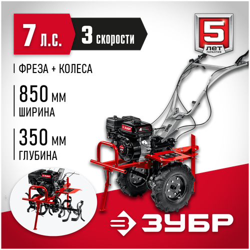 ���� ���� 7 �. �, 212 ��3, �������� ���������� � ��� ���-500 ������, ������ �� 47110 ���