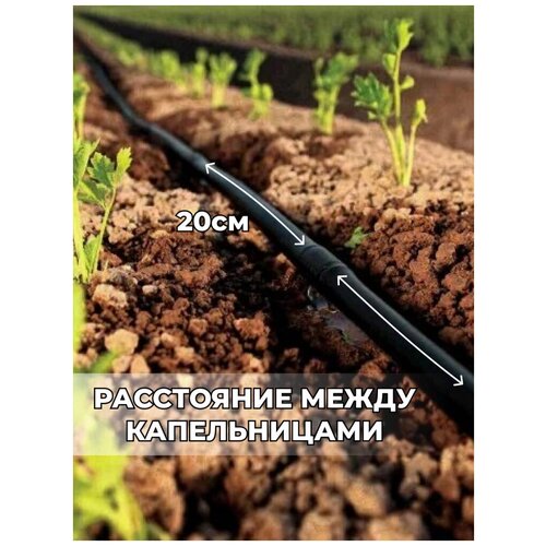 ���� ��������� ������ (��������� �����) - 16 �� ( ��� 20 �� ) 10 ������ � ��� �� 1 ���� �������� ( ����� 25 �), ������ �� 1459 ���