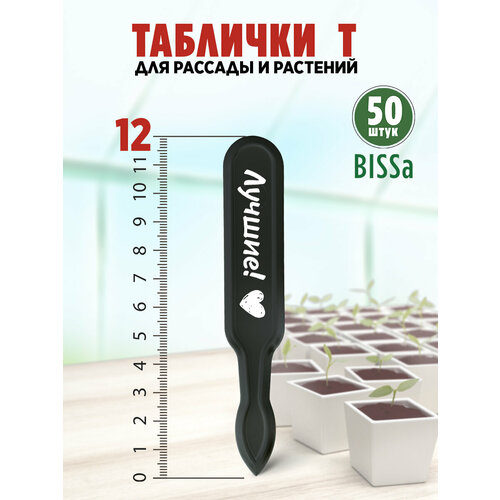 ���� ������� �������� ��� ������� � ��������, Bissa �, ������, 50 ��, ������ �� 444 ���