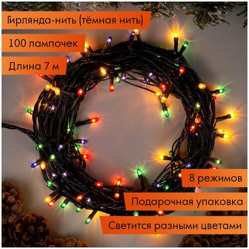 ���� �������� 