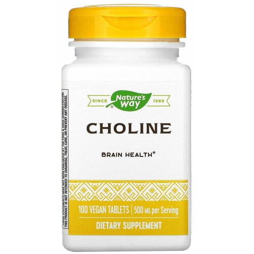  CHOLINE 500mg 100 tabs NW   -     , -, 