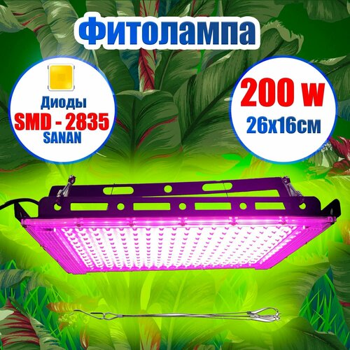 ���� ��������� 200 ���� ��� ����������� �������, ������ �� 2000 ���