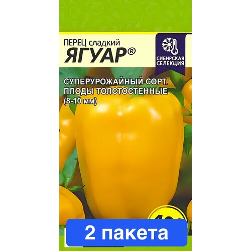 ���� ������ ������ ������ ����� 