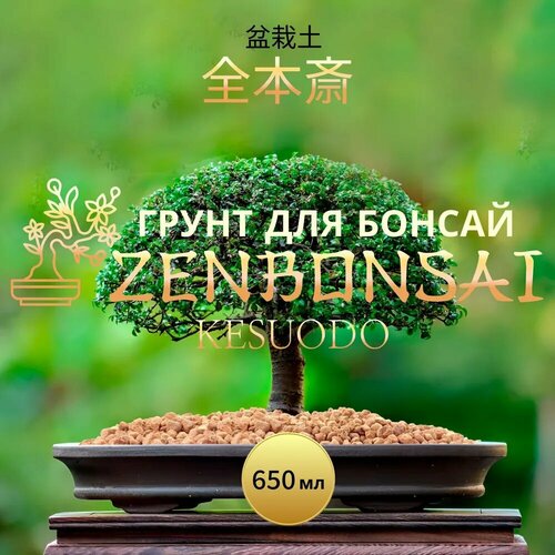 ���� ����� ZENBONSAI 