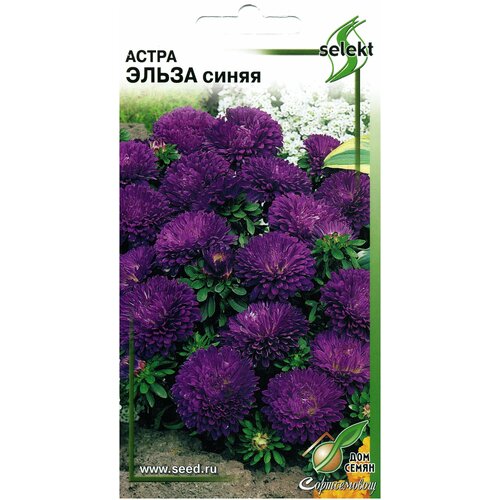 ���� ����� ����� �����, 45 �����, ������ �� 168 ���