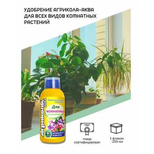 ���� �������� ���� ��� ��������� �������� 250 ��, ������ �� 195 ���