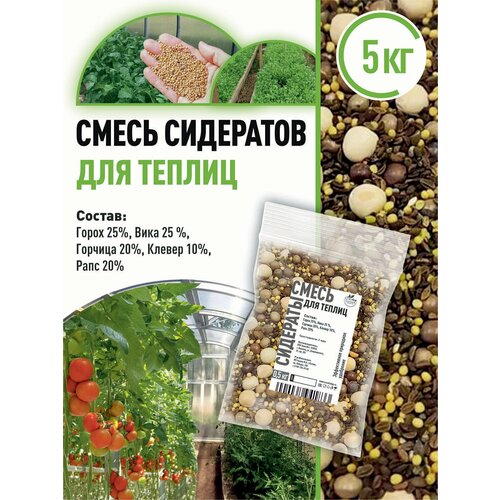 ���� ����� ��������� ��� ������ 5 ��, ������ �� 1500 ���