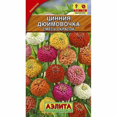 ���� ������ ������ ����������, �����, ����������, (������) 0,3�, ������ �� 42 ���