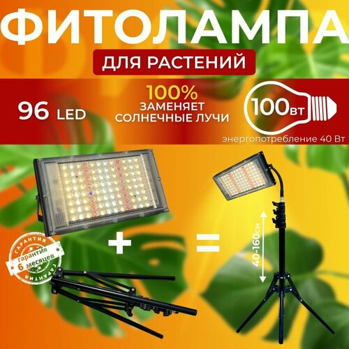 ���� ��������� ��� ����������� �������� ������� ������ ������ �������������� ������������, ����� ��������� ��� ������ �� �������, ������ �� 3900 ���