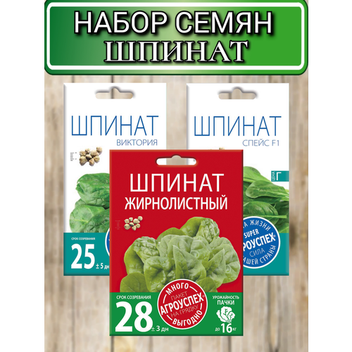 ���� ������ ������ ��������� ������: ��������, ������������, �����, ������ �� 1000 ���