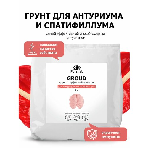    : , , , , , ,  (Purshat) 3 ,   720 