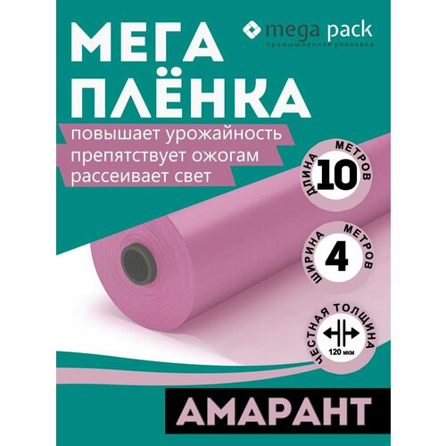 ���� ���� ���� ������ ���������� �������, 120���, 4�, 10�, ������ �� 1890 ���