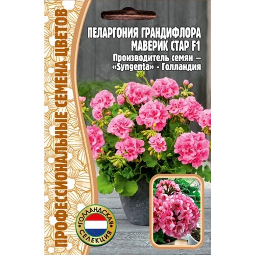 ���� ������ ���������� 