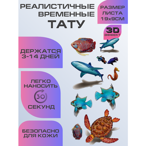 ���� ���� ���������� ��������������, ��������� ����, ������ �� 399 ���