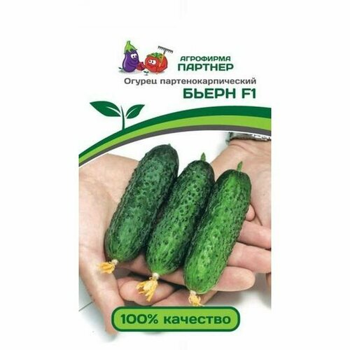 ���� ������ ������ ����� F1 ����. (�����������) (��������� �������) 5�� (2-��� ���.), ������ �� 330 ���