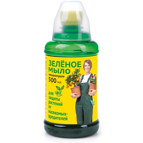 ���� ���� ��������� ������ �������� ���������� ������ ����, 500 ��, 500 �, ������ �� 267 ���