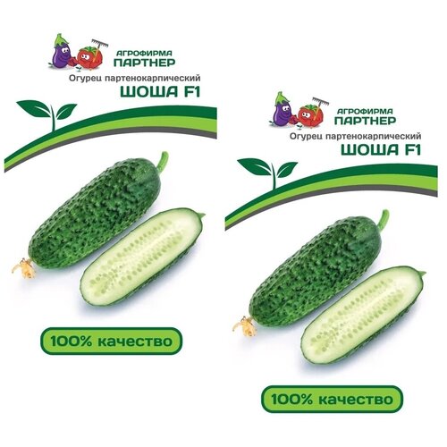 ���� ������ ������ ���� F1 /��������� �������/ 2 �������� �� 5 �����, ������ �� 520 ���