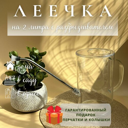 ���� ����� ��� ������ � ��������, ������ �� 1150 ���