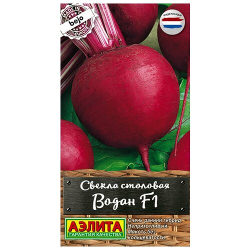 ���� ������. ������ �������� 