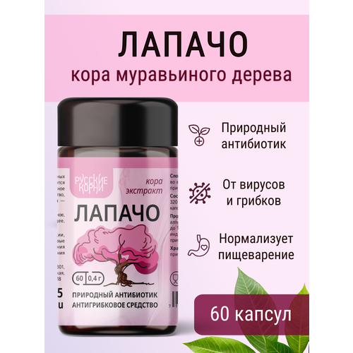 ���� �������� ���� ������, ������������� ��������, 60 ������ - 