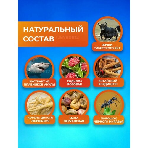 ���� SHARK ESSENCE ������ �������� �������� ��� �������� 10 ��. ��� ������, ������ �� 1200 ���