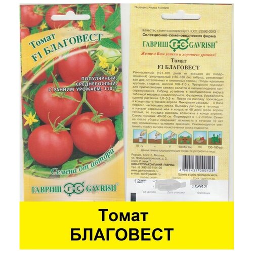 ���� ������ ����� ���������, ������ �� 249 ���