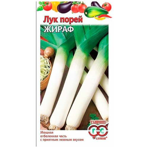 ���� ������. ��� ����� 