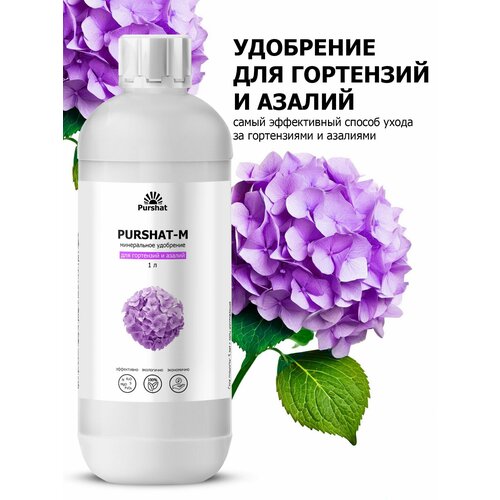    ,     (Purshat) 1 ,   596 