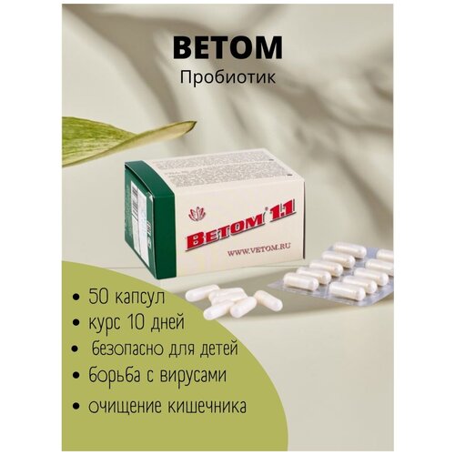 ���� ����� 1.1 (50 ������)/��������/ ����������, ������ �� 782 ���