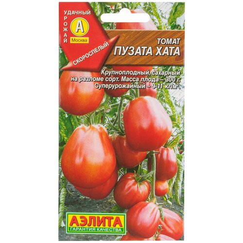 ���� ������ ����� 