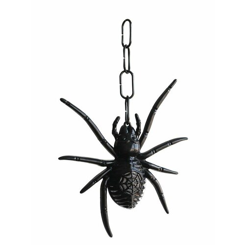 ���� ���� �� �������� ��������� / ��� ����, ����, ������ �� 560 ���