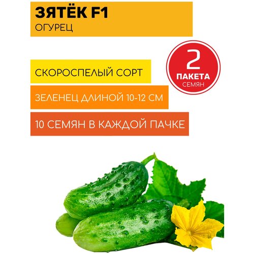 ���� ������ ����� F1 (10 �����), ������ �� 279 ���