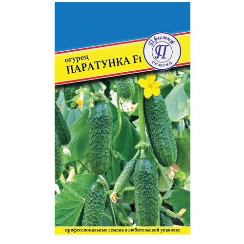 ���� ������ / ������� ������ / ������ ������ ��������� F1, ������ �� 480 ���