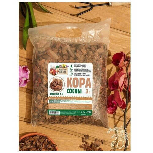 ���� ���� ����� 