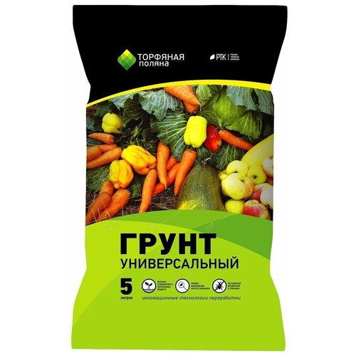 ���� ����� ������������� 5 �, ��� �������� ������, ������ �� 285 ���