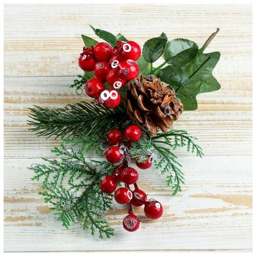 ���� ����� 