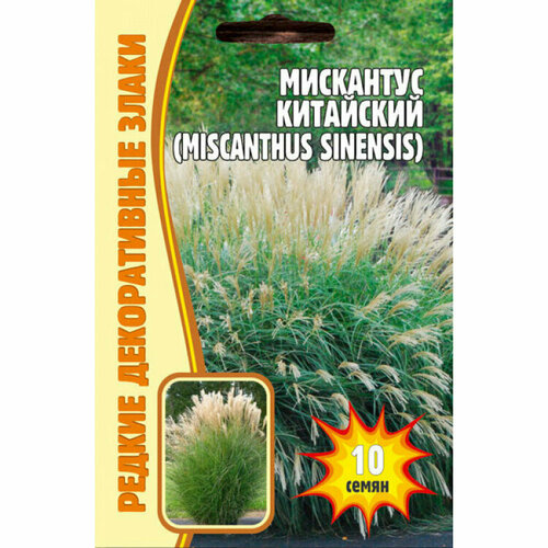     (Miscanthus Chinensis) (0.01 )   -     , -, 
