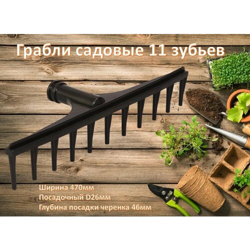 ���� ������ ������� (11 ������), ������ �� 333 ���