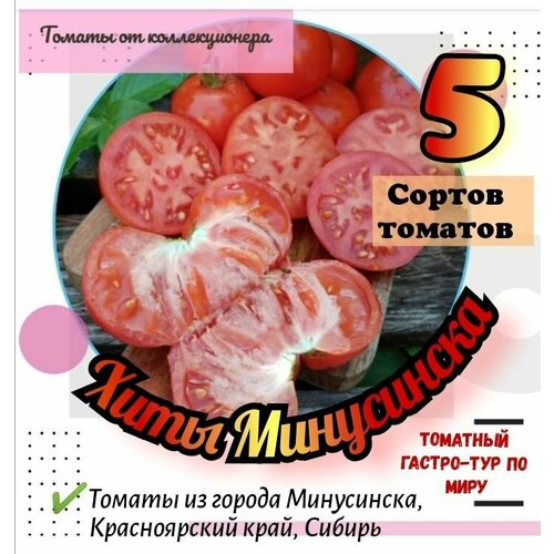 ���� ����� ������� 