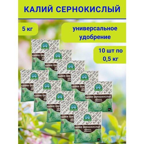 ���� ��������� ����� �����������, 5 ��., ������ �� 1341 ���