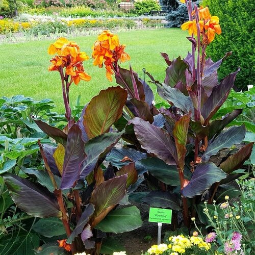     (   1 ) / ,   ,  /  , ,   ,   990 