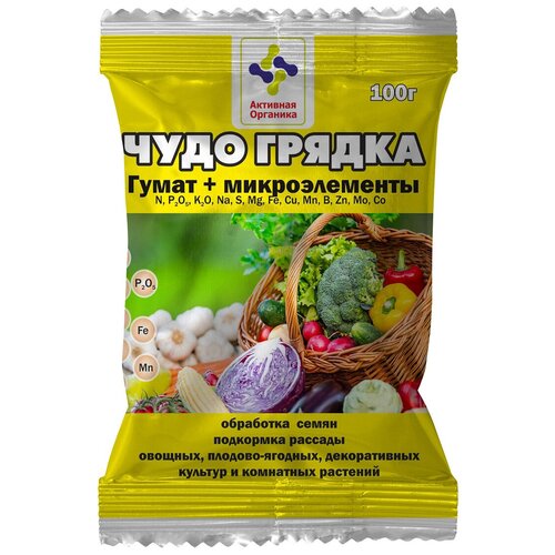 ���� ����� ����� 