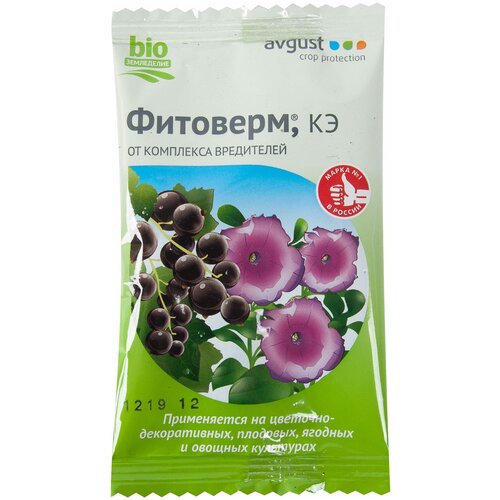 ���� Avgust ����������� ��� ������ � ���������� ���������� �� ��������� ��������� ��������, ��, 4 ��, 4 �, ������ �� 57 ���