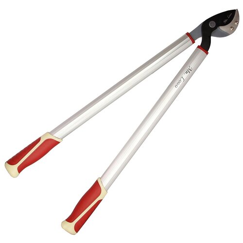 ���� �������� ������� ������� Mr.Logo ���. 3660� ��� ������� ������� �����, ������ �� 2990 ���